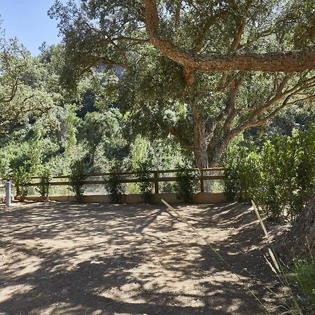 Pola Giverola Camp Tossa de Mar Zewnętrze zdjęcie