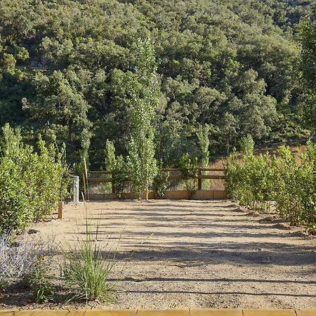 Pola Giverola Camp Tossa de Mar Zewnętrze zdjęcie