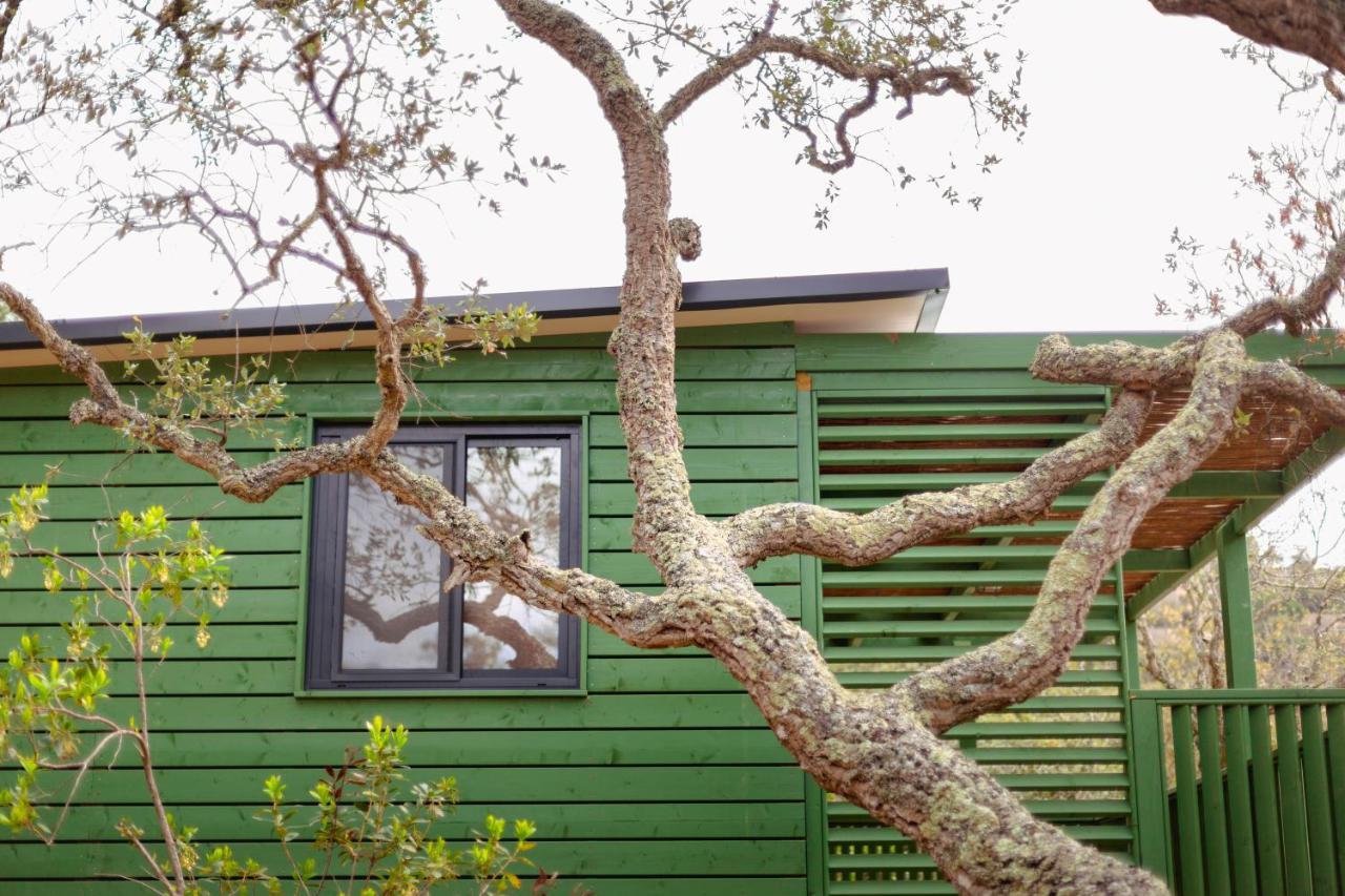 Pola Giverola Camp Tossa de Mar Zewnętrze zdjęcie