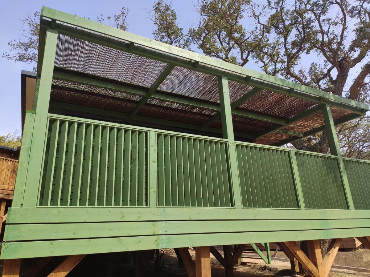 Pola Giverola Camp Tossa de Mar Zewnętrze zdjęcie