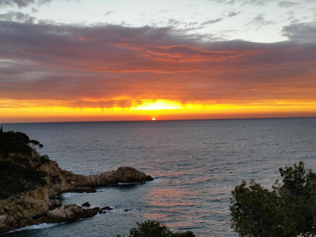 Pola Giverola Camp Tossa de Mar Zewnętrze zdjęcie