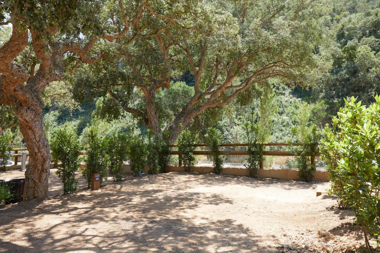 Pola Giverola Camp Tossa de Mar Zewnętrze zdjęcie