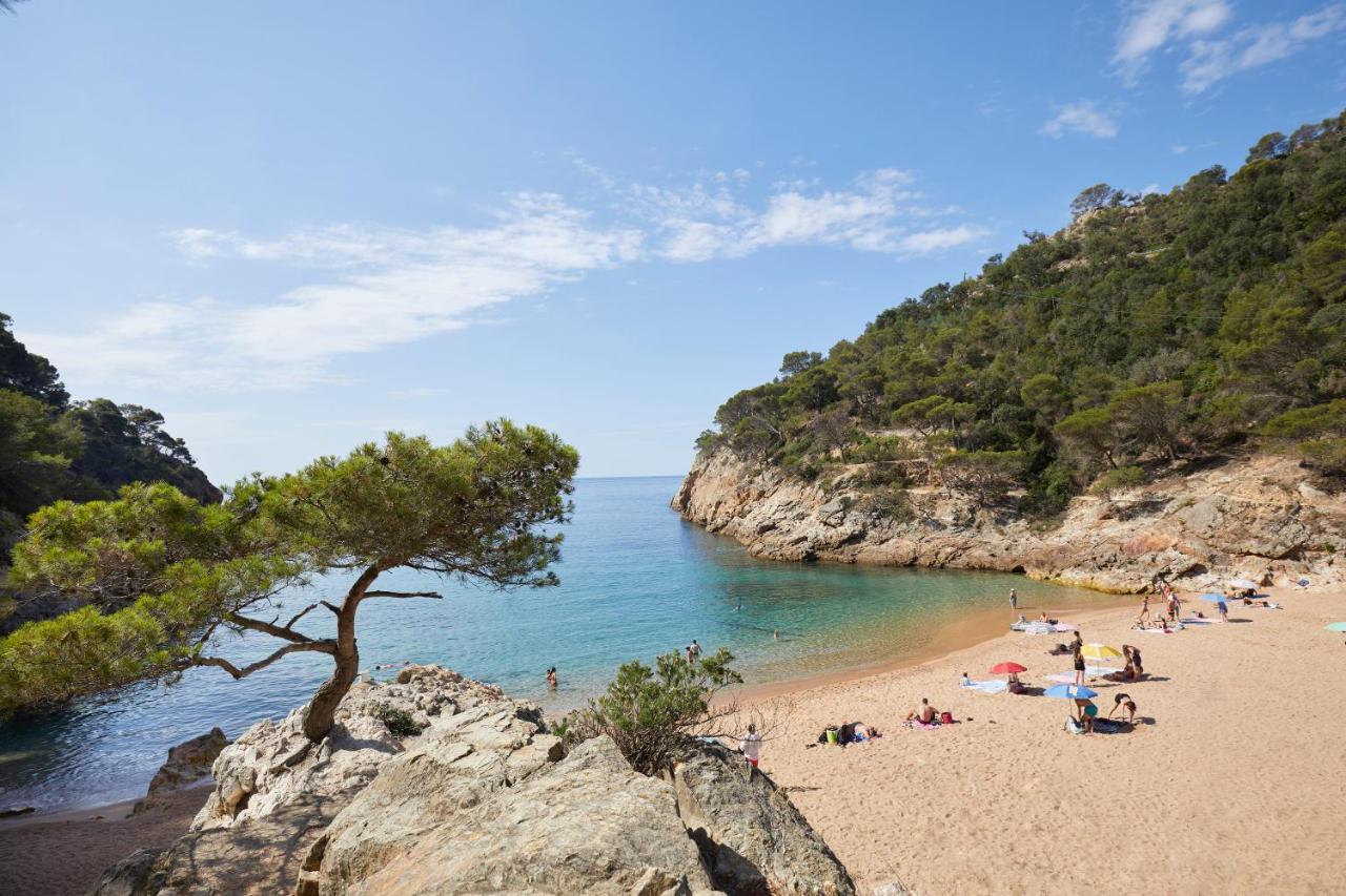 Pola Giverola Camp Tossa de Mar Zewnętrze zdjęcie