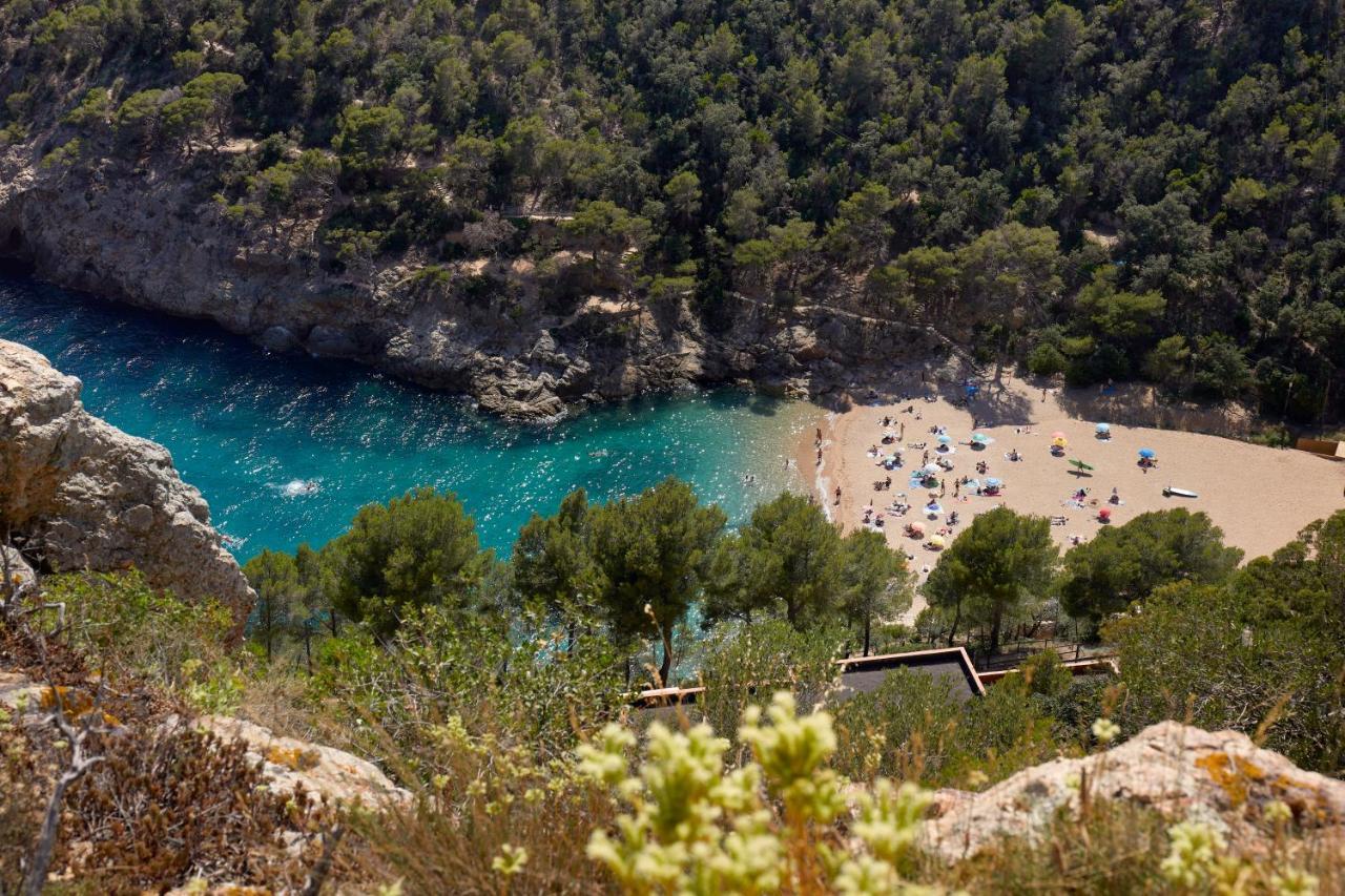 Pola Giverola Camp Tossa de Mar Zewnętrze zdjęcie