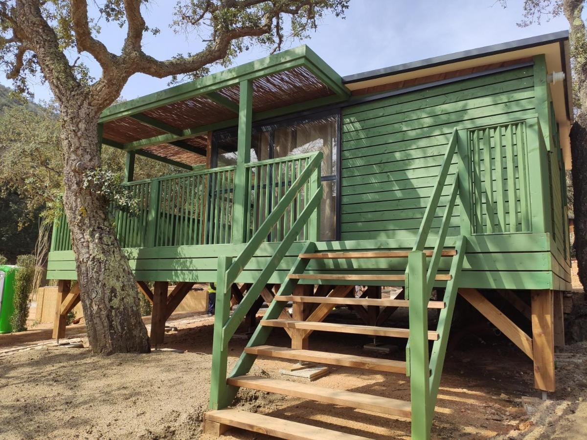 Pola Giverola Camp Tossa de Mar Zewnętrze zdjęcie