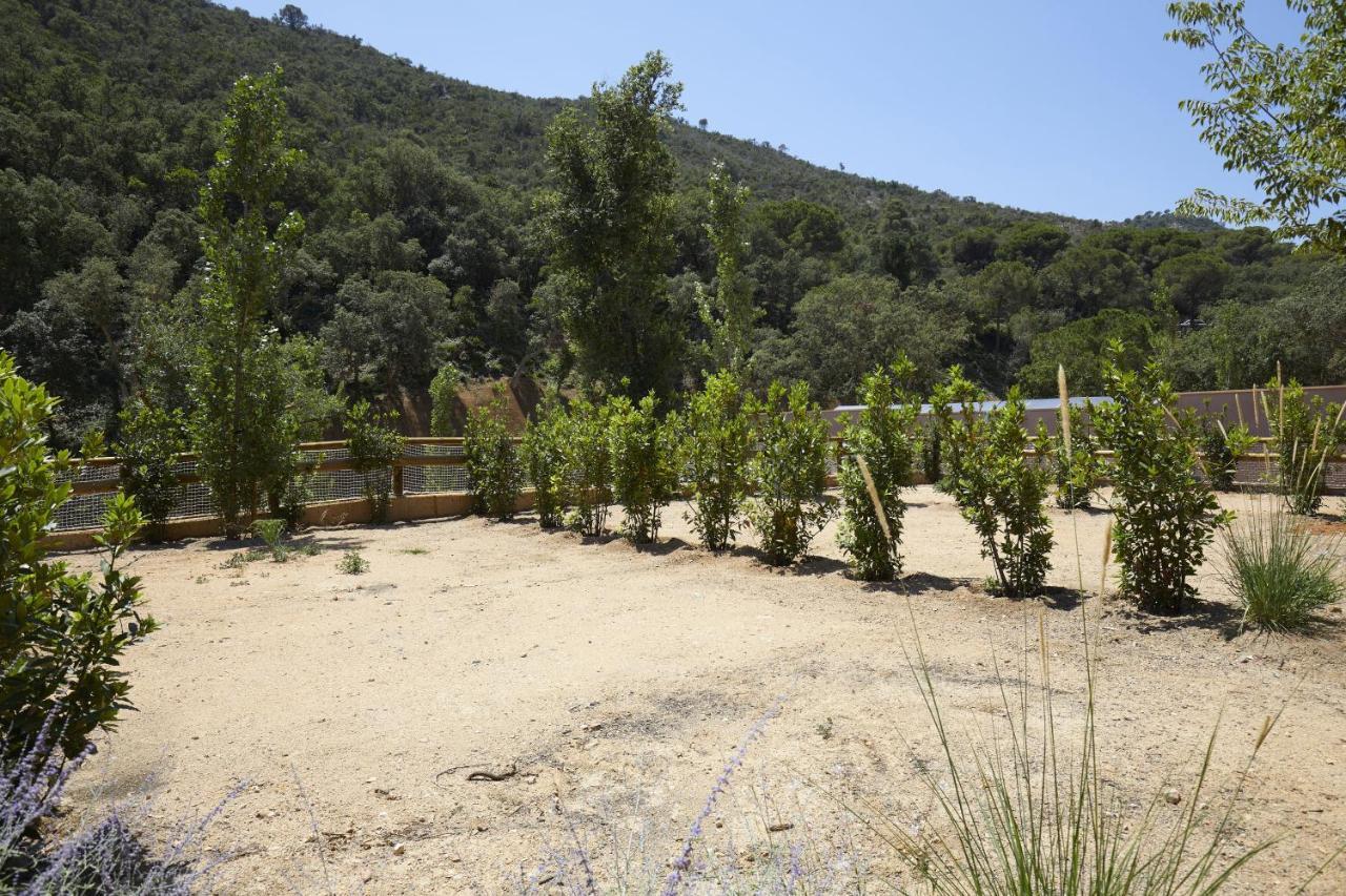 Pola Giverola Camp Tossa de Mar Zewnętrze zdjęcie