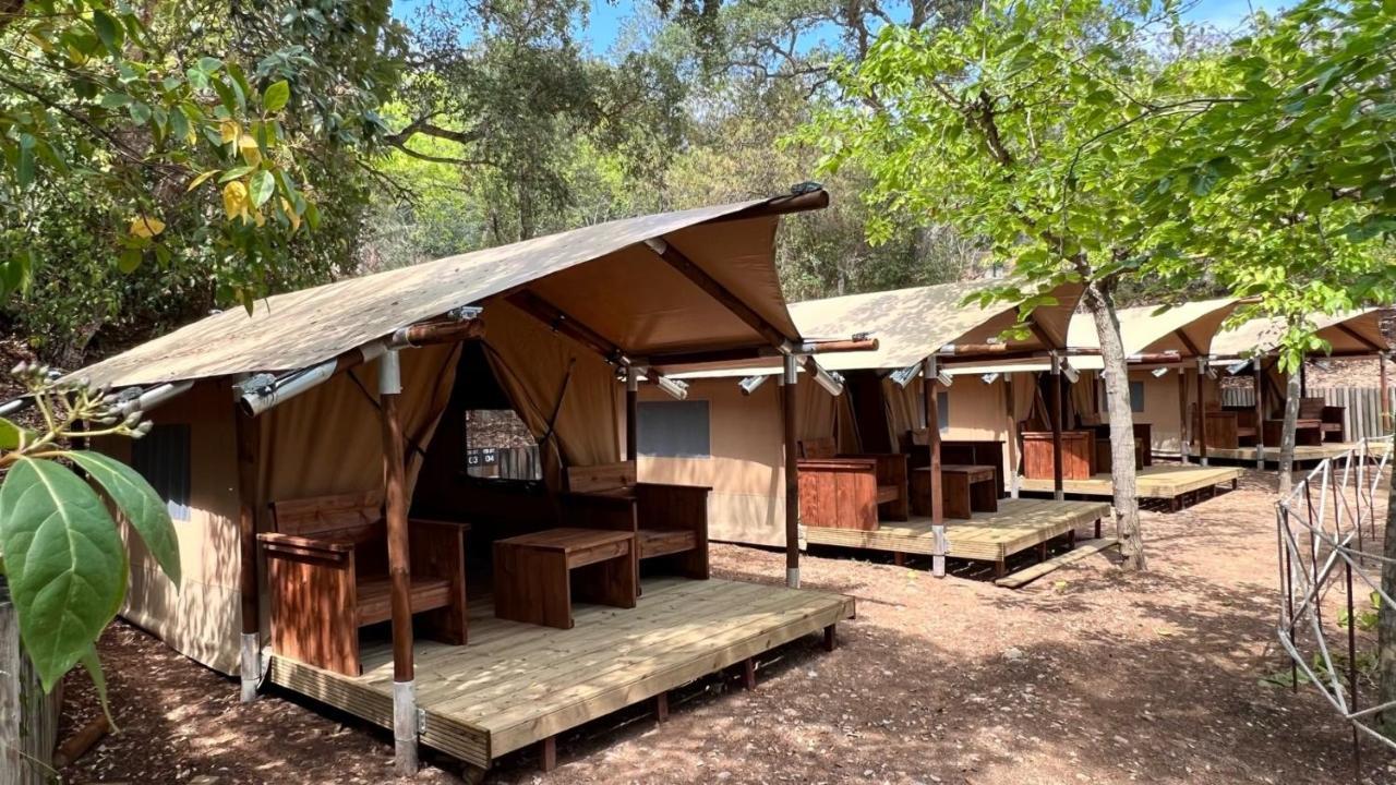 Pola Giverola Camp Tossa de Mar Zewnętrze zdjęcie